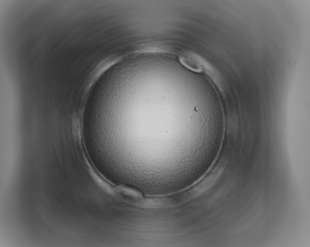 X0000111941433200908031129