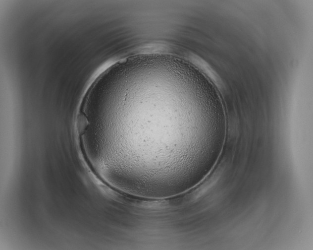 X0000111941434200908031129