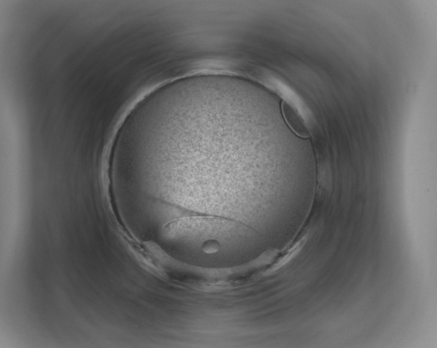 X0000111941435200908031129