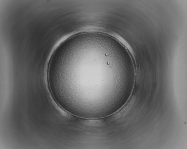 X0000111941437200908031129