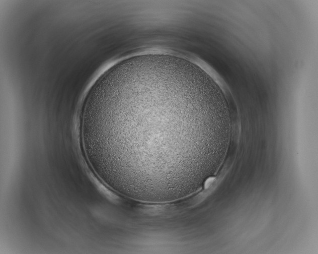 X0000111941438200908031129