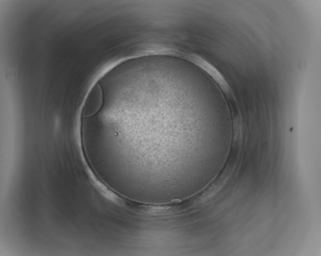 X0000111941439200908031129