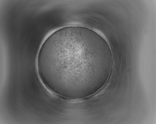 X0000111941440200908031129