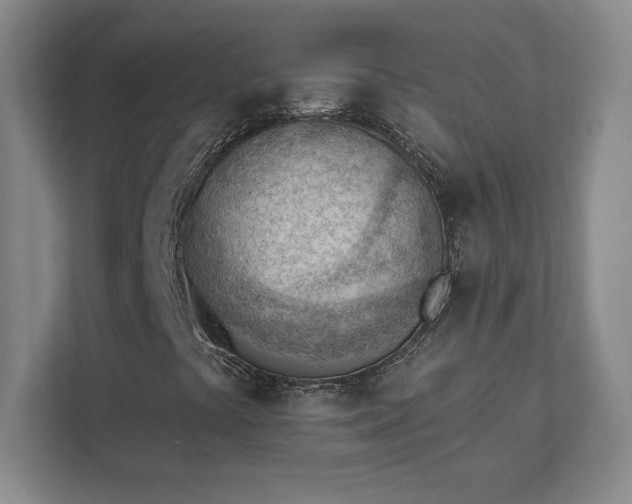 X0000111941441200908031128