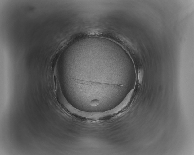 X0000111941444200908031128