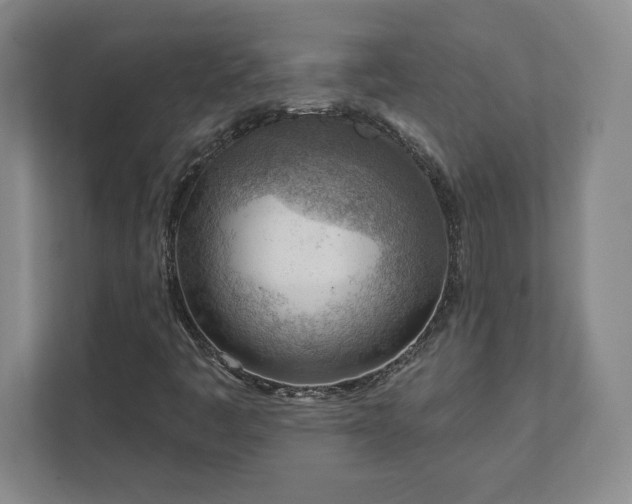 X0000111941445200908031128