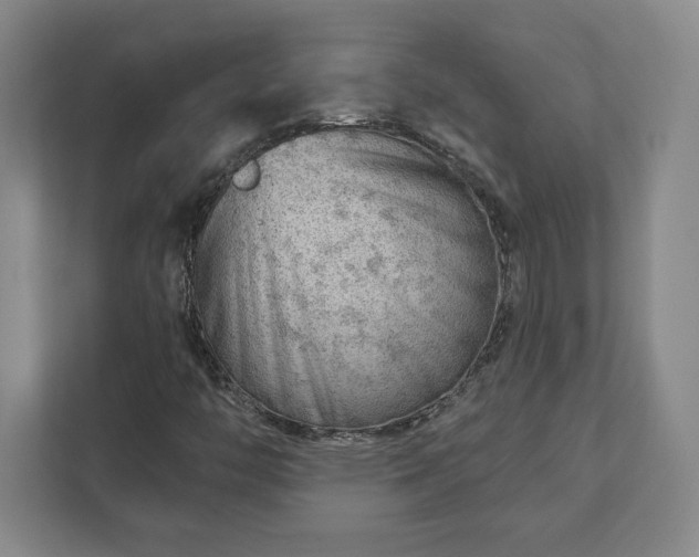 X0000111941446200908031128