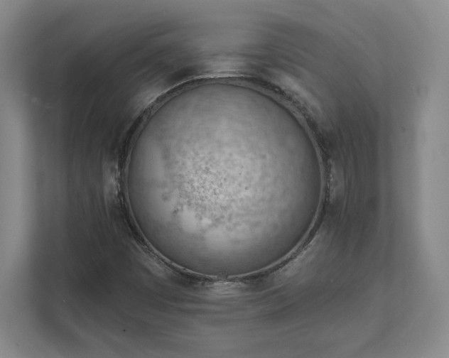 X0000111941449200908031128