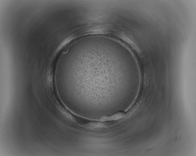 X0000111941450200908031128