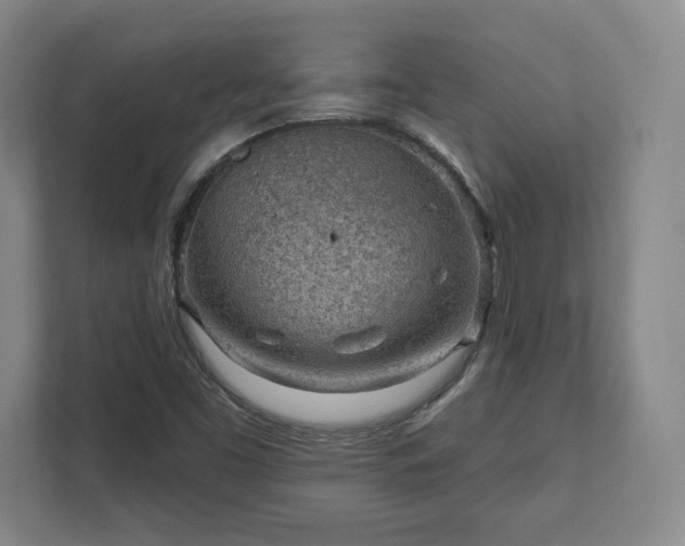 X0000111941453200908031128