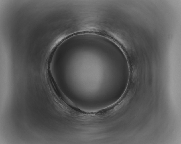 X0000111941455200908031128