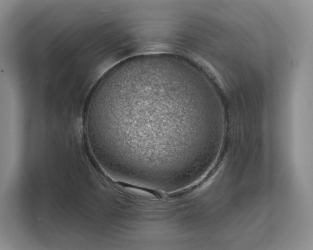 X0000111941457200908031128