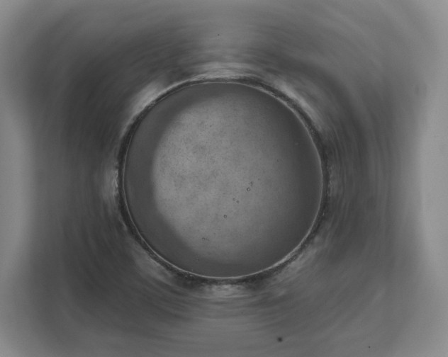 X0000111941459200908031128