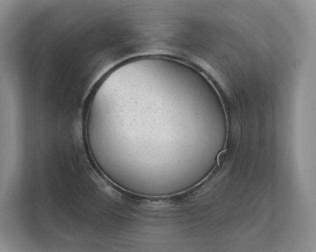 X0000111941460200908031128