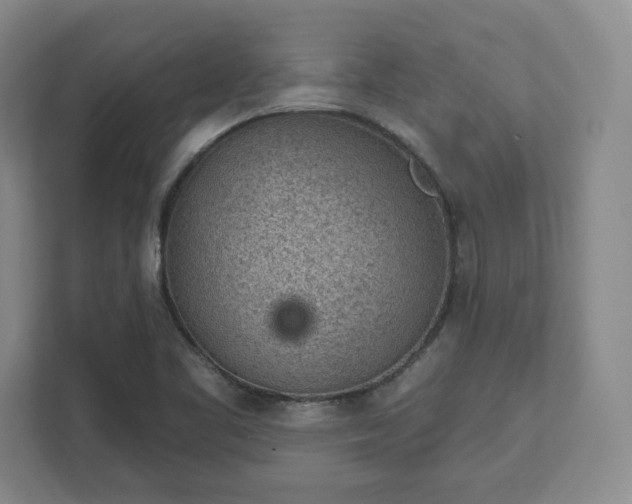 X0000111941461200908031128