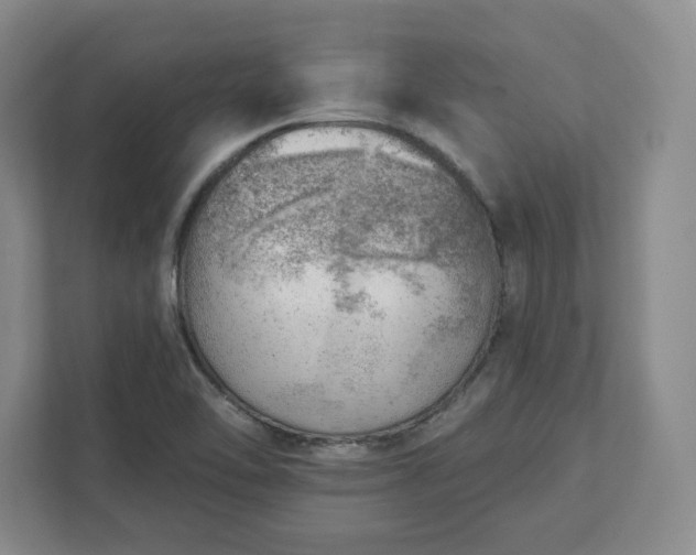 X0000111941462200908031128