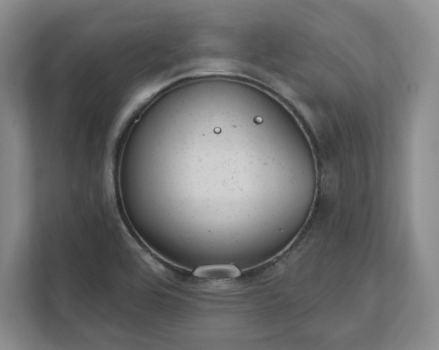 X0000111941464200908031128