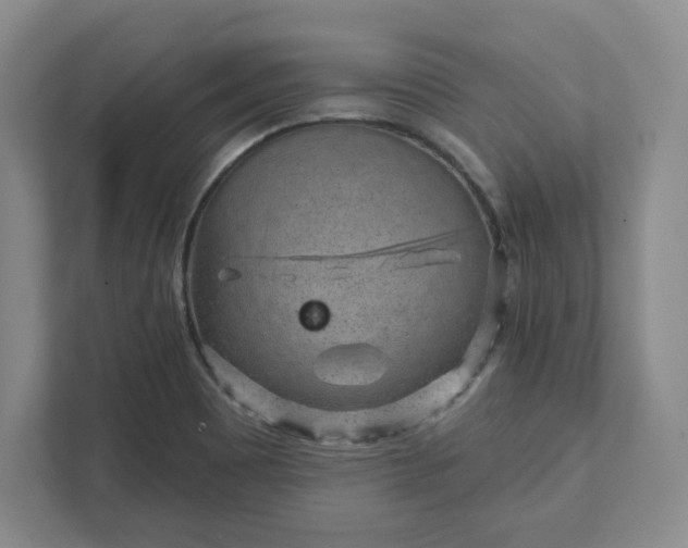 X0000111941465200908031128