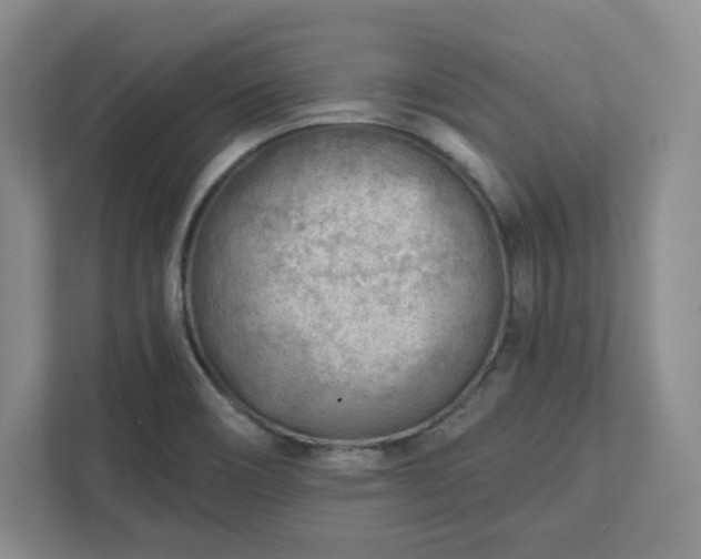 X0000111941466200908031128