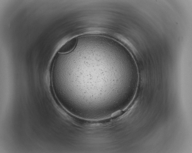 X0000111941467200908031128