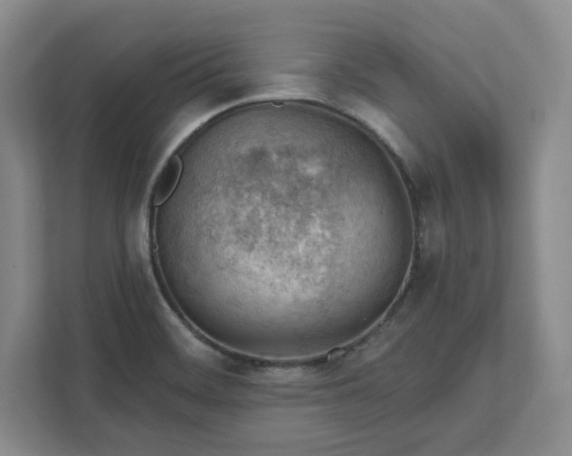 X0000111941468200908031128