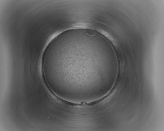 X0000111941469200908031128