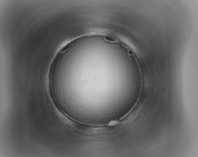 X0000111941471200908031128