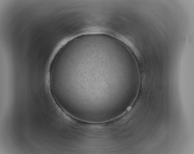 X0000111941472200908031128