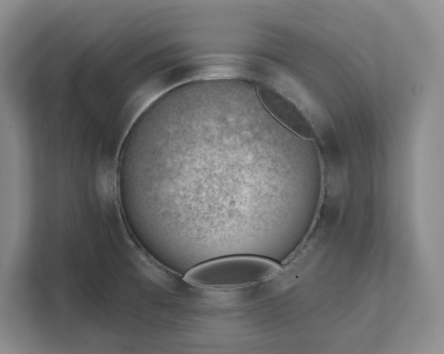 X0000111941473200908031128