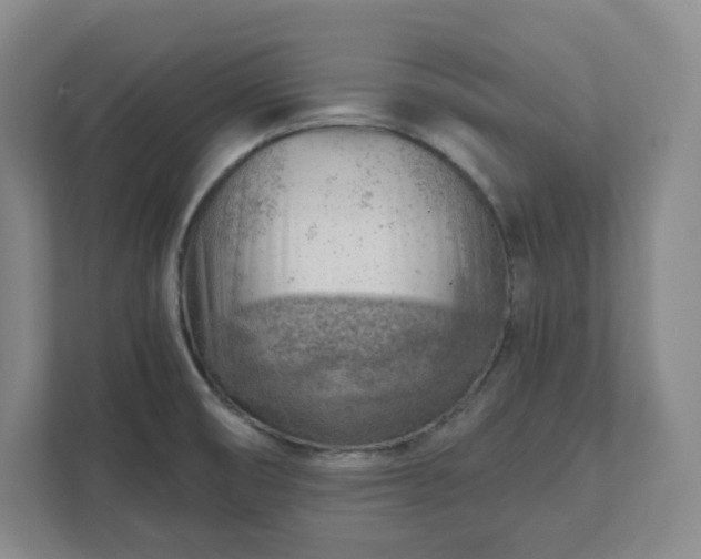 X0000111941474200908031128