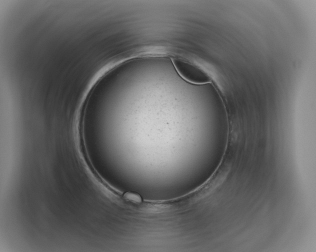 X0000111941475200908031128