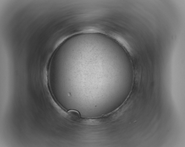 X0000111941476200908031128