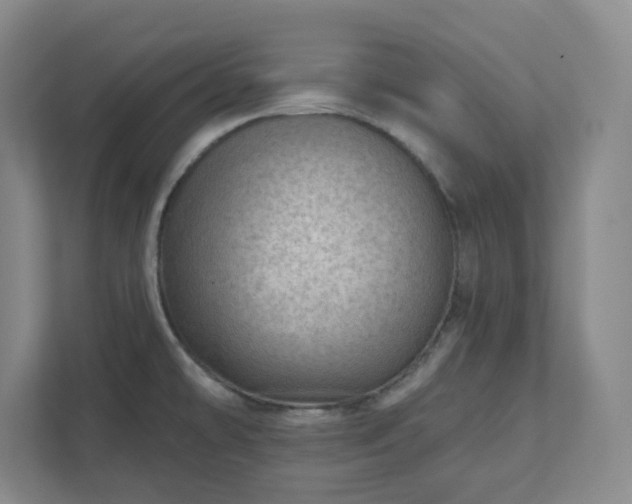 X0000111941478200908031128