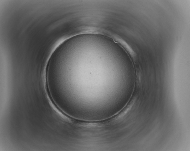 X0000111941479200908031128