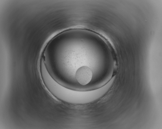 X0000111941480200908031128