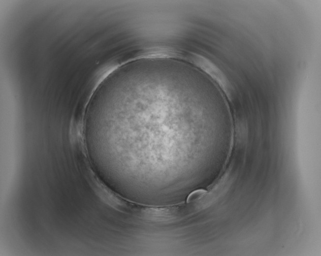 X0000111941481200908031128