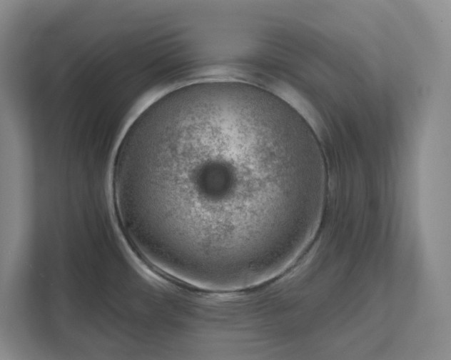 X0000111941482200908031128