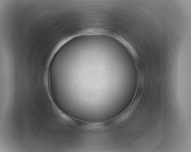 X0000111941486200908031128