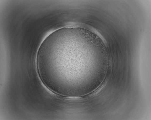 X0000111941487200908031128