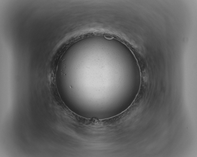 X0000111941495200908031127