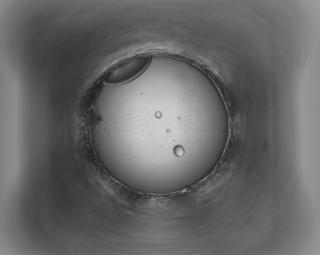 X0000111941496200908031127