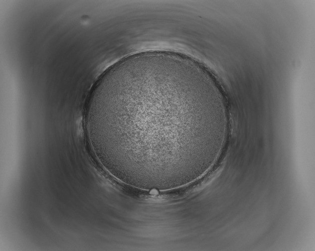 X0000111941497200908031127