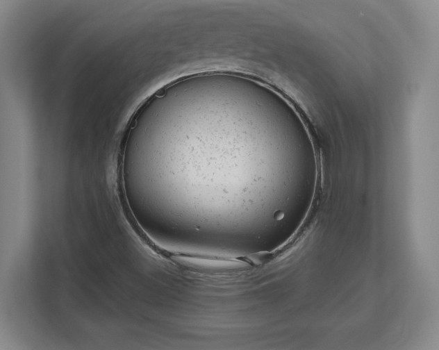 X0000111941500200908031127