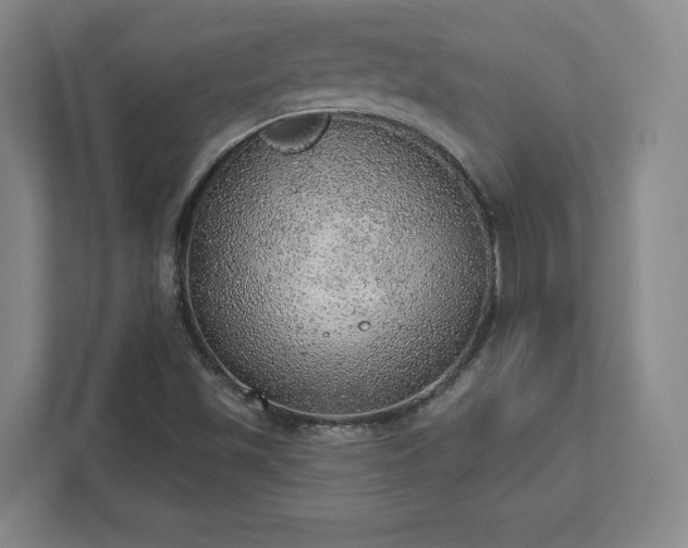 X0000111941501200908031127