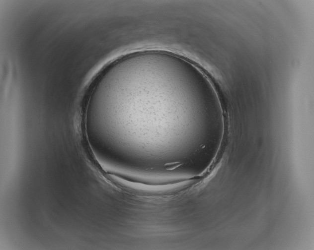 X0000111941502200908031127