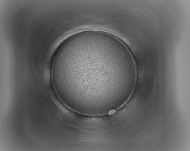 X0000111941503200908031127