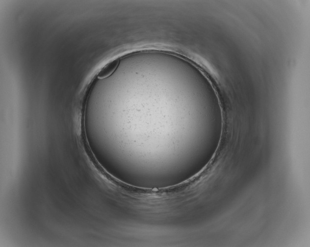 X0000111941504200908031127