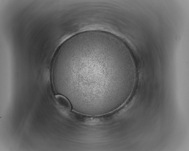 X0000111941505200908031127