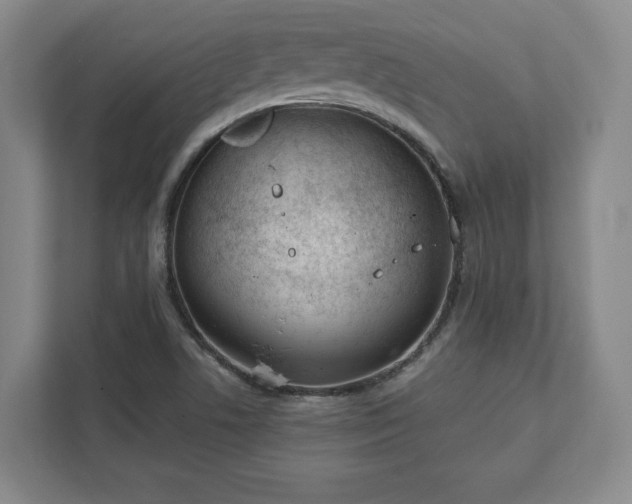 X0000111941506200908031127