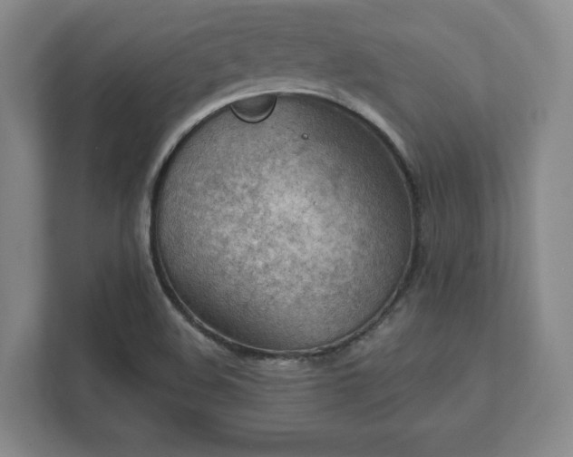 X0000111941508200908031128